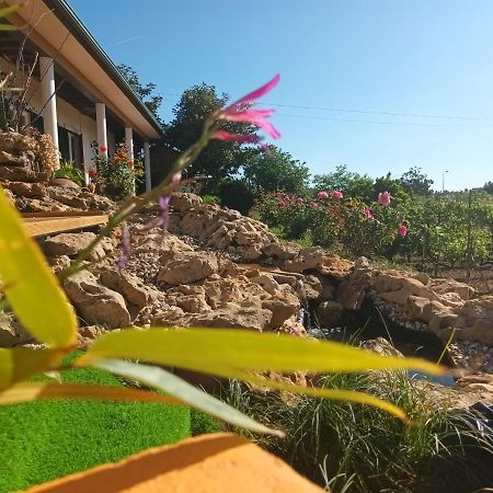 Casita Da Floresta Hotel Ferreira do Zêzere Exterior foto