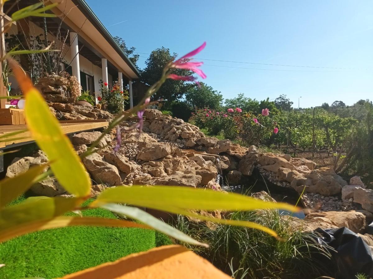 Casita Da Floresta Hotel Ferreira do Zêzere Exterior foto